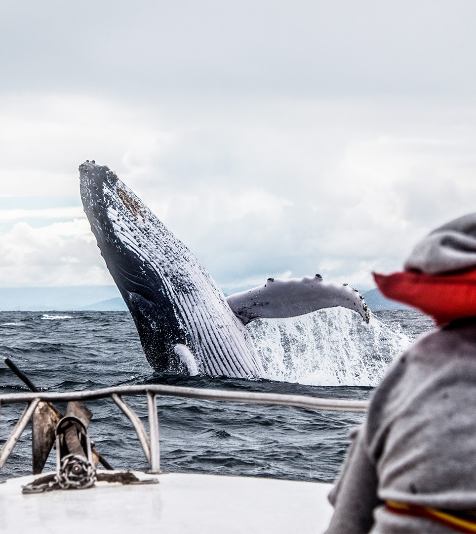 Guided Tours and Excursions in the Monterey area