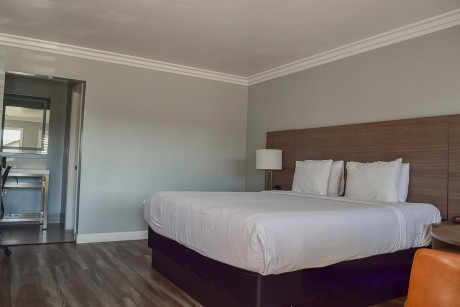 Lone Oak Lodge - Guest Room