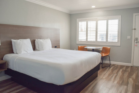 Lone Oak Lodge - Guest Room