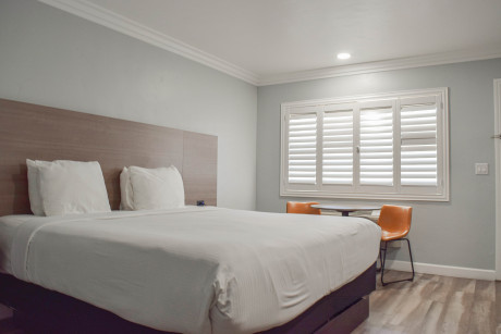 Lone Oak Lodge - Guest Room