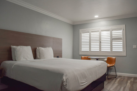Lone Oak Lodge - Guest Room