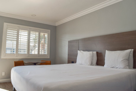 Lone Oak Lodge - Guest Room