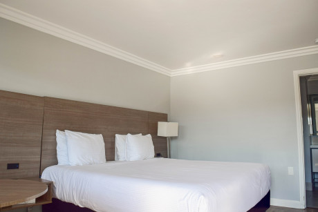 Lone Oak Lodge - Guest Room