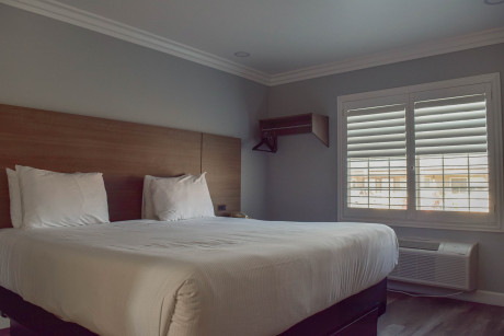 Lone Oak Lodge - Guest Room