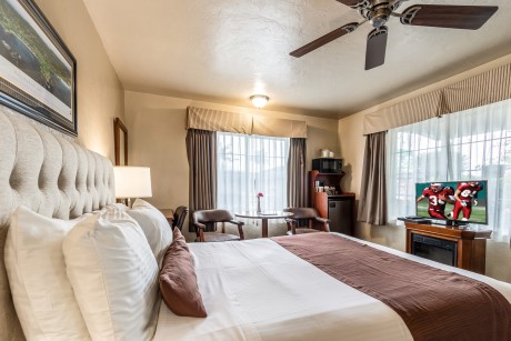 Lone Oak Lodge - Guest Room